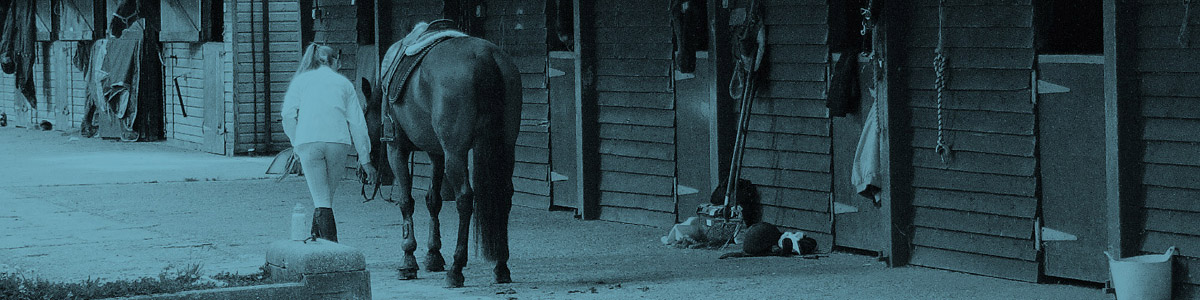 Discounts for Yard Visits